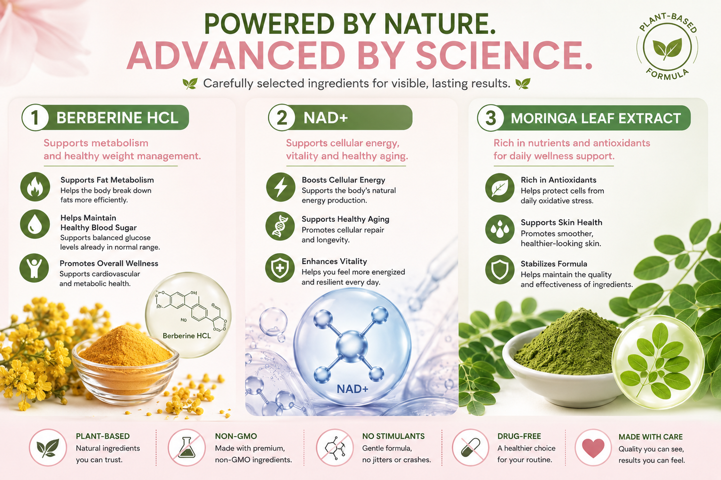 Moringa Patches - Professional Moringa 10-in-1 Nano Microdarts Patch, Gentle Natural Formula | Invisible Ultra-Thin Design | Suitable for All Skin Types